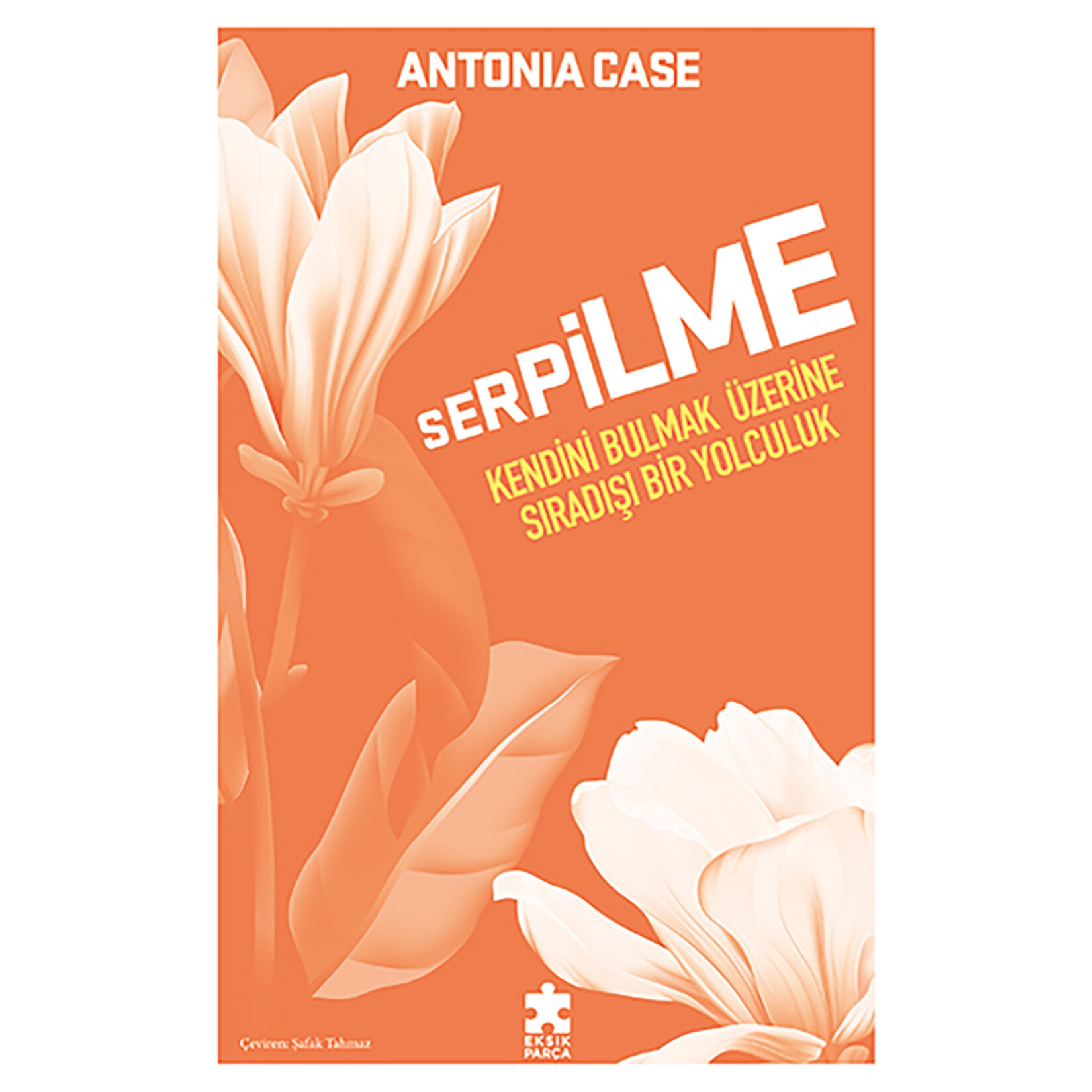 Serpilme:kendini Bulmak Üzerine Sıradışı Bir Yolcu