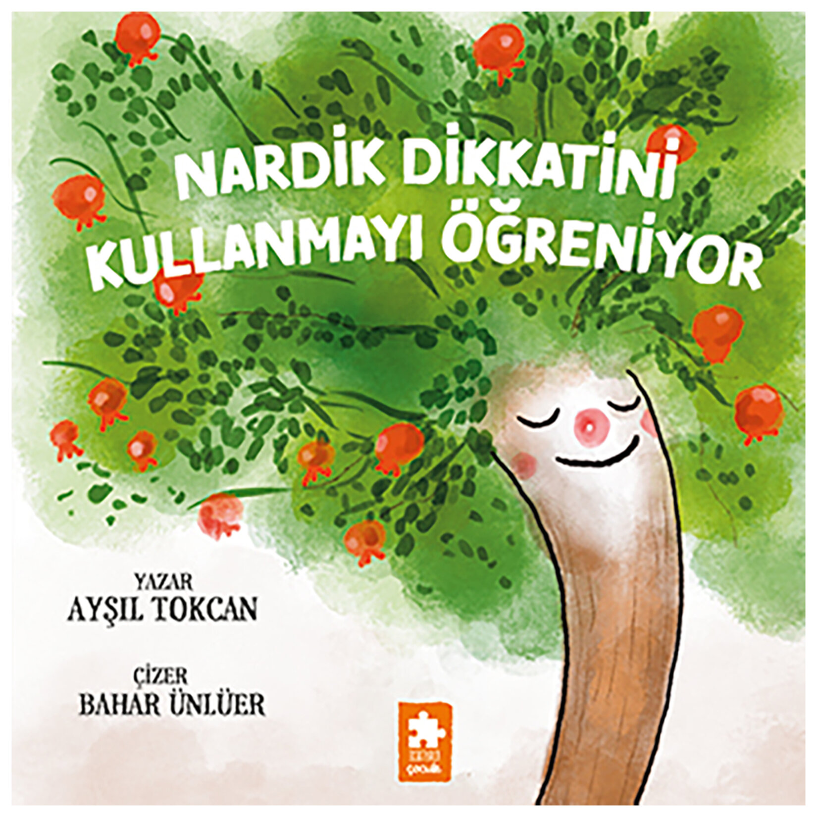 Nardik Dikkatini Kullanmayı Öğreniyor