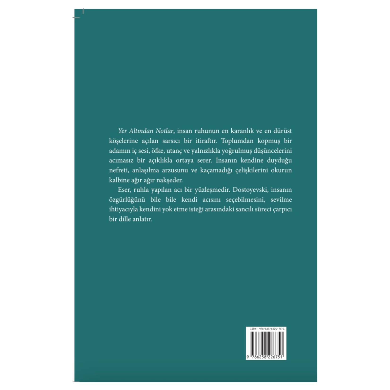 Yeraltından Notlar - Görsel 2
