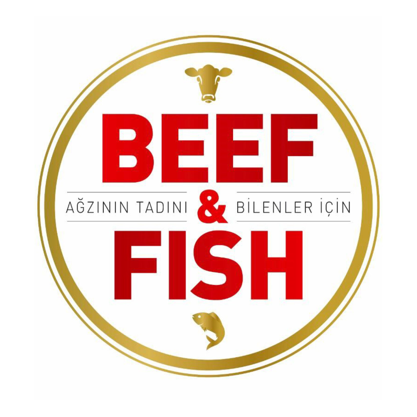 Beef & Fish