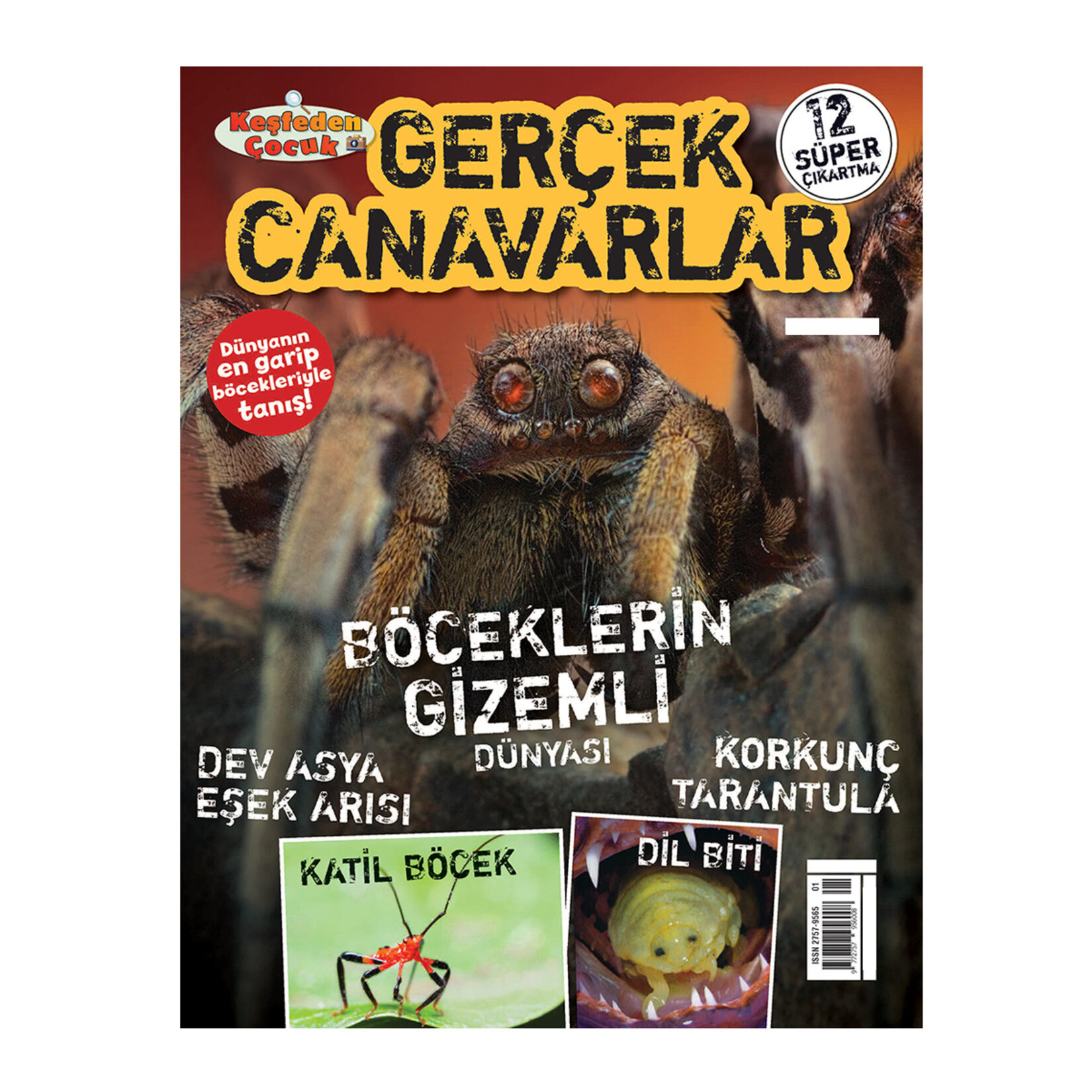 Keşfeden Çocuk - Görsel 4