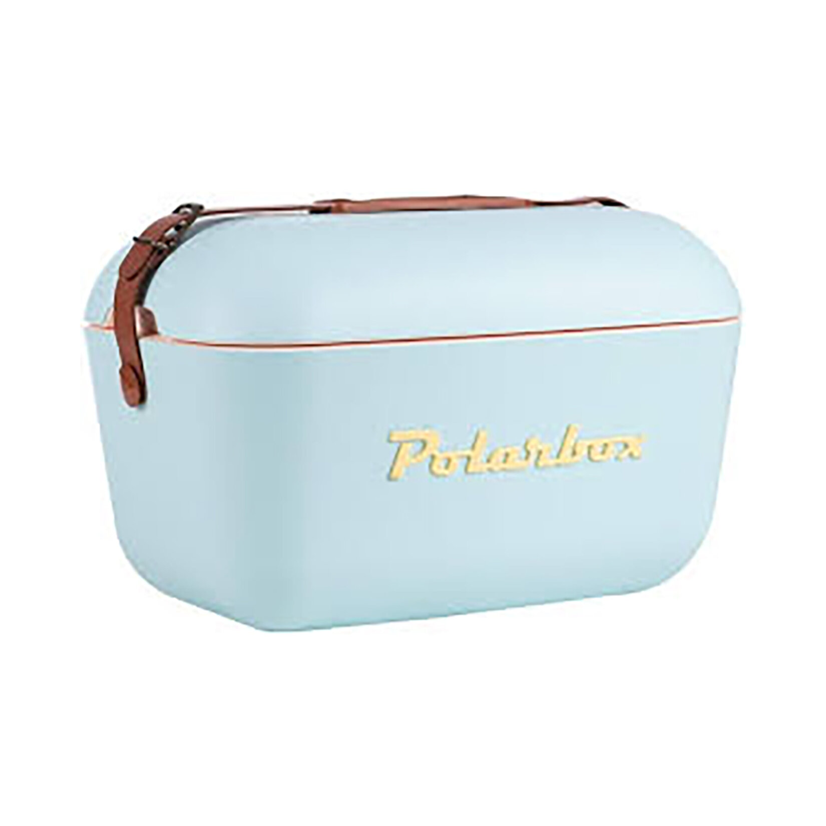 Polarbox Deri Kayışlı Buzluk Blue-Yellow Cls 20L