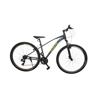 AGR 29'' Gri Bisiklet