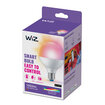 Wiz Wi-Fi Renkli Ambiyans Akıllı Ampul 75W - G95 - E27 - Görsel 1