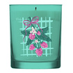 Ruby Spring Blush Strawberry Pound Kokulu Mum - Görsel 1