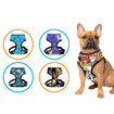Petcraft Scubba Body Collar Small - Tasma - Görsel 4