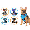 Petcraft Scubba Body Collar Small - Tasma - Görsel 2