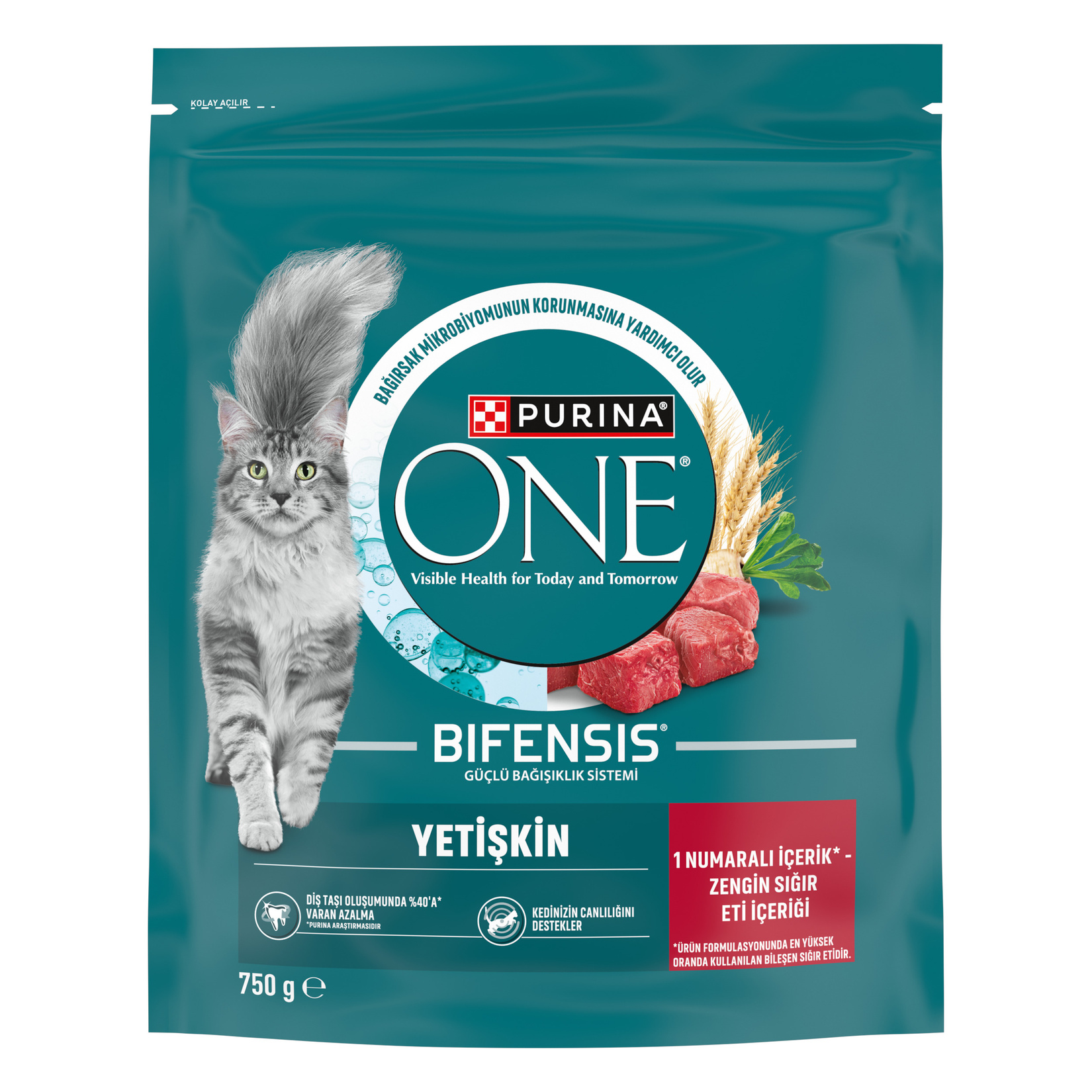 Purina One Sığır Etli Yetişkin Kuru Kedi Maması 750 G - Görsel 1