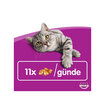 Whiskas Temptations Kedi Ödül Maması - Görsel 2