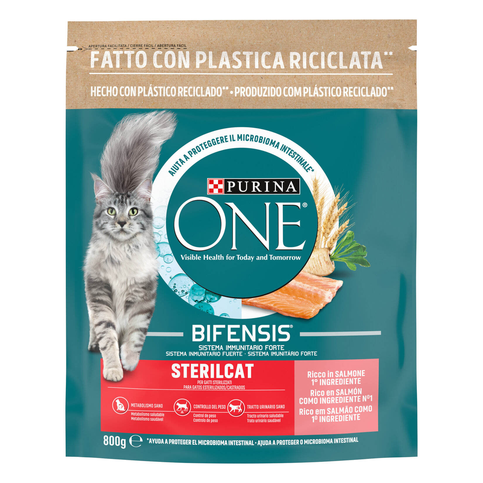 Purina One Steril Kedi Somonlu 800 G - Görsel 1