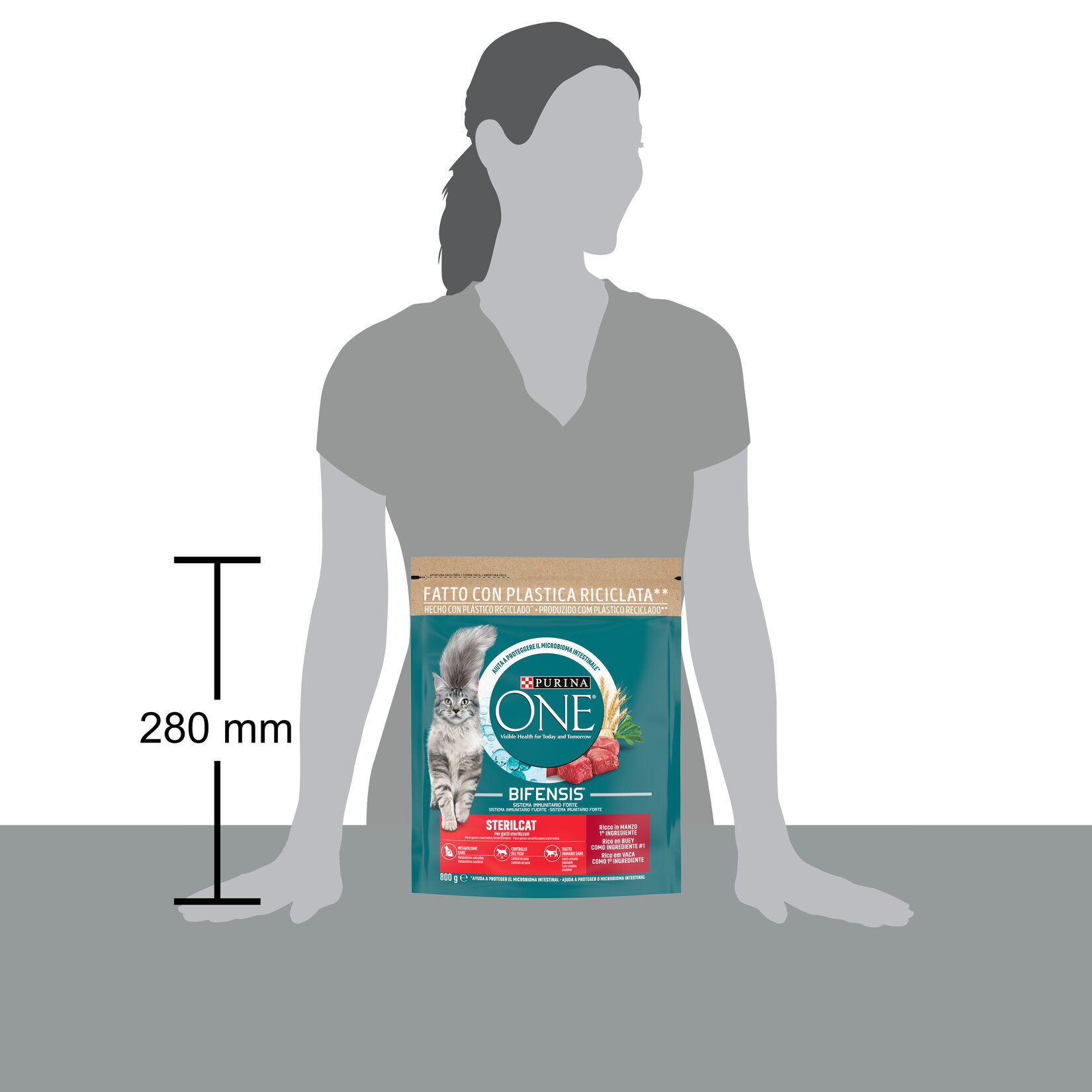 Purina One Steril Kedi Sığır Etli 800 G - Görsel 3