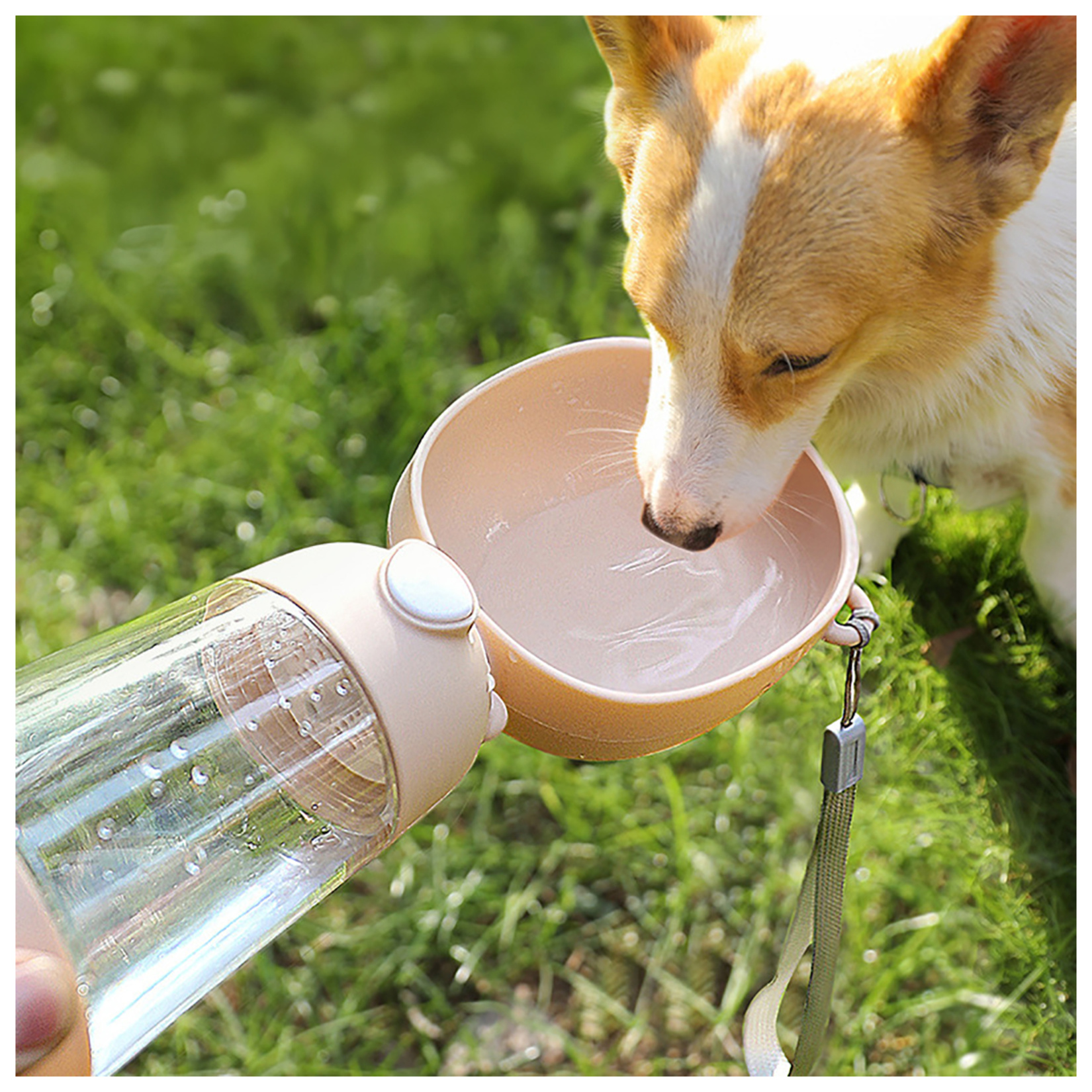 i-Pets Evcil Hayvan Suluğu PT-210 - Görsel 3