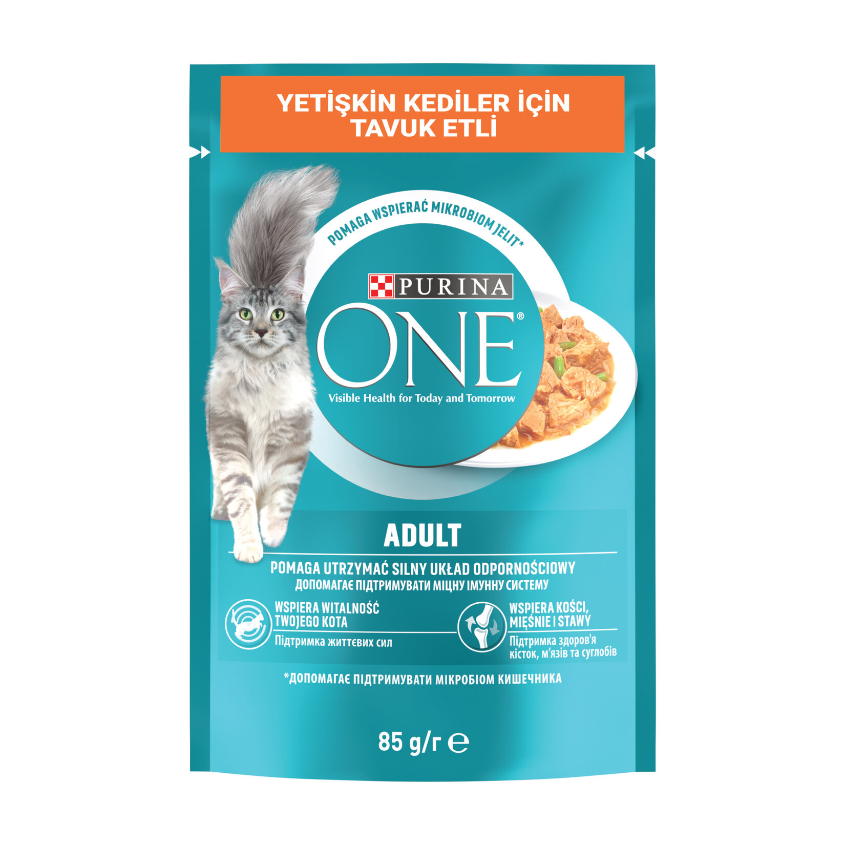 Purina One Yetişkin Kedi Maması Tavuk & Fasulye 85 G - Görsel 1