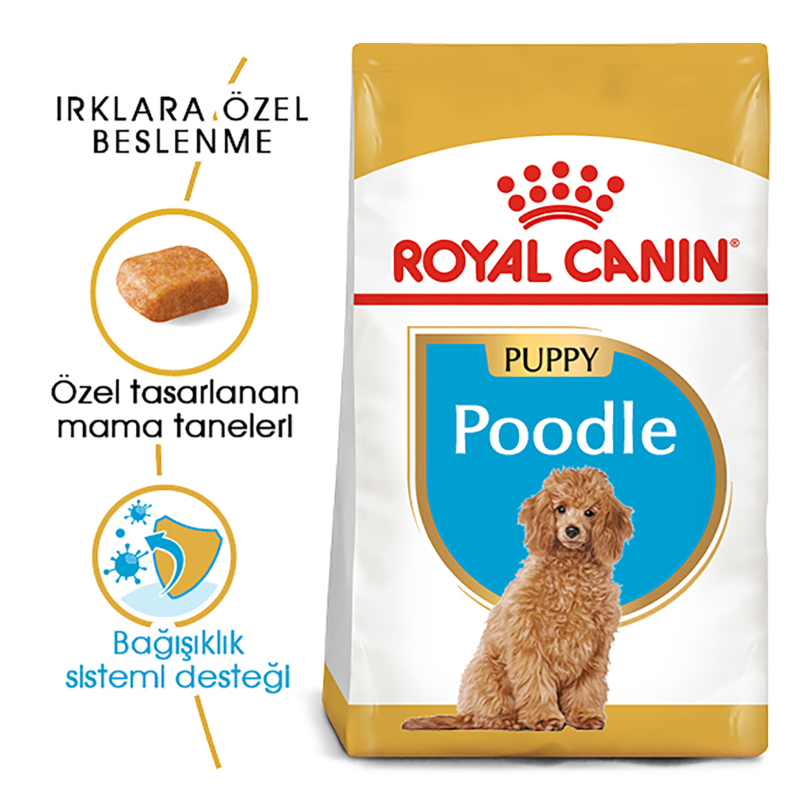 Royal Canin Poodle Yavru Köpek Maması 3 Kg - Görsel 2