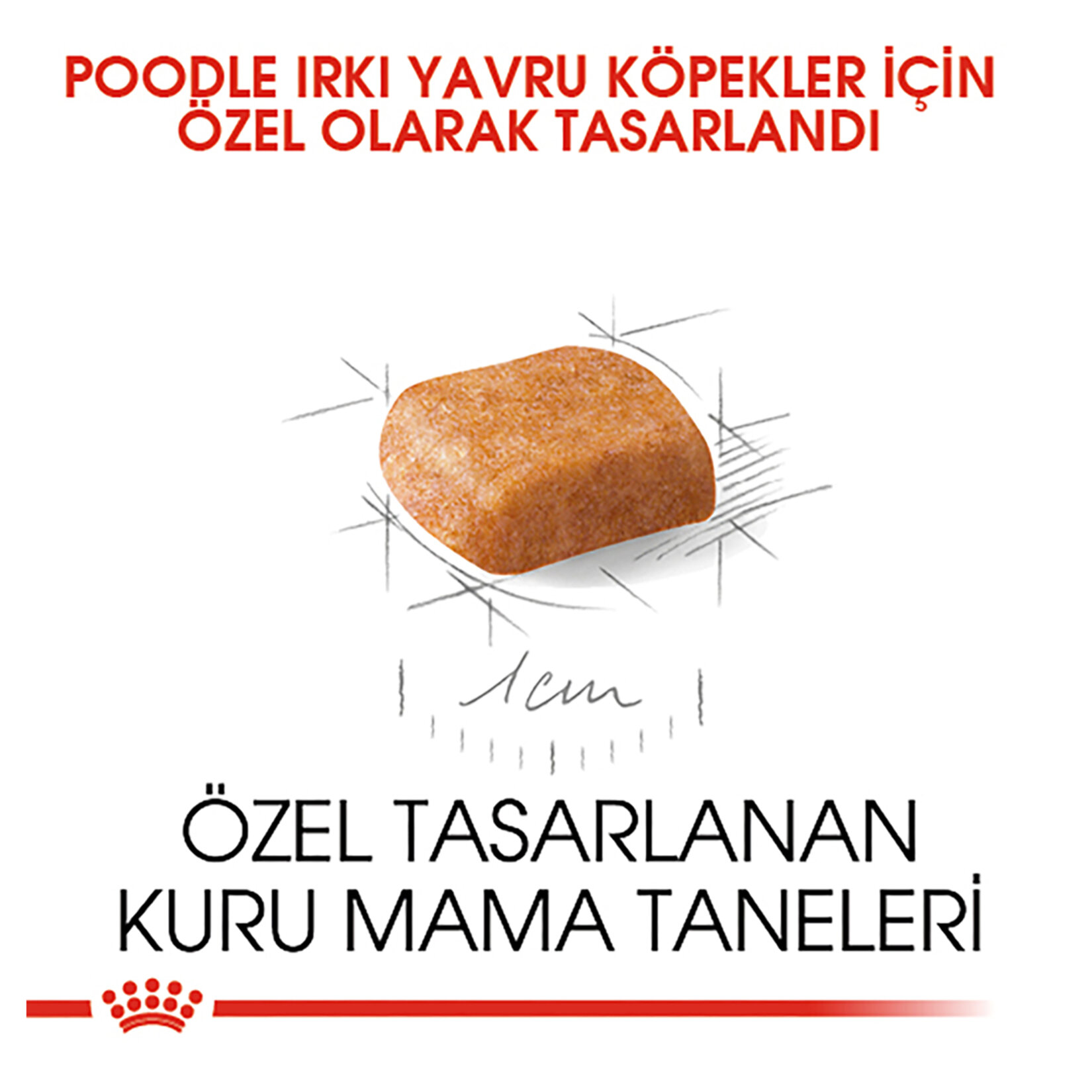 Royal Canin Poodle Yavru Köpek Maması 3 Kg - Görsel 3