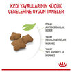 Royal Canin Kısırlaştırılmış Yavru Kedi Maması 2 Kg - Görsel 3