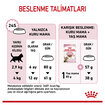 Royal Canin Kısırlaştırılmış Yavru Kedi Maması 2 Kg - Görsel 5