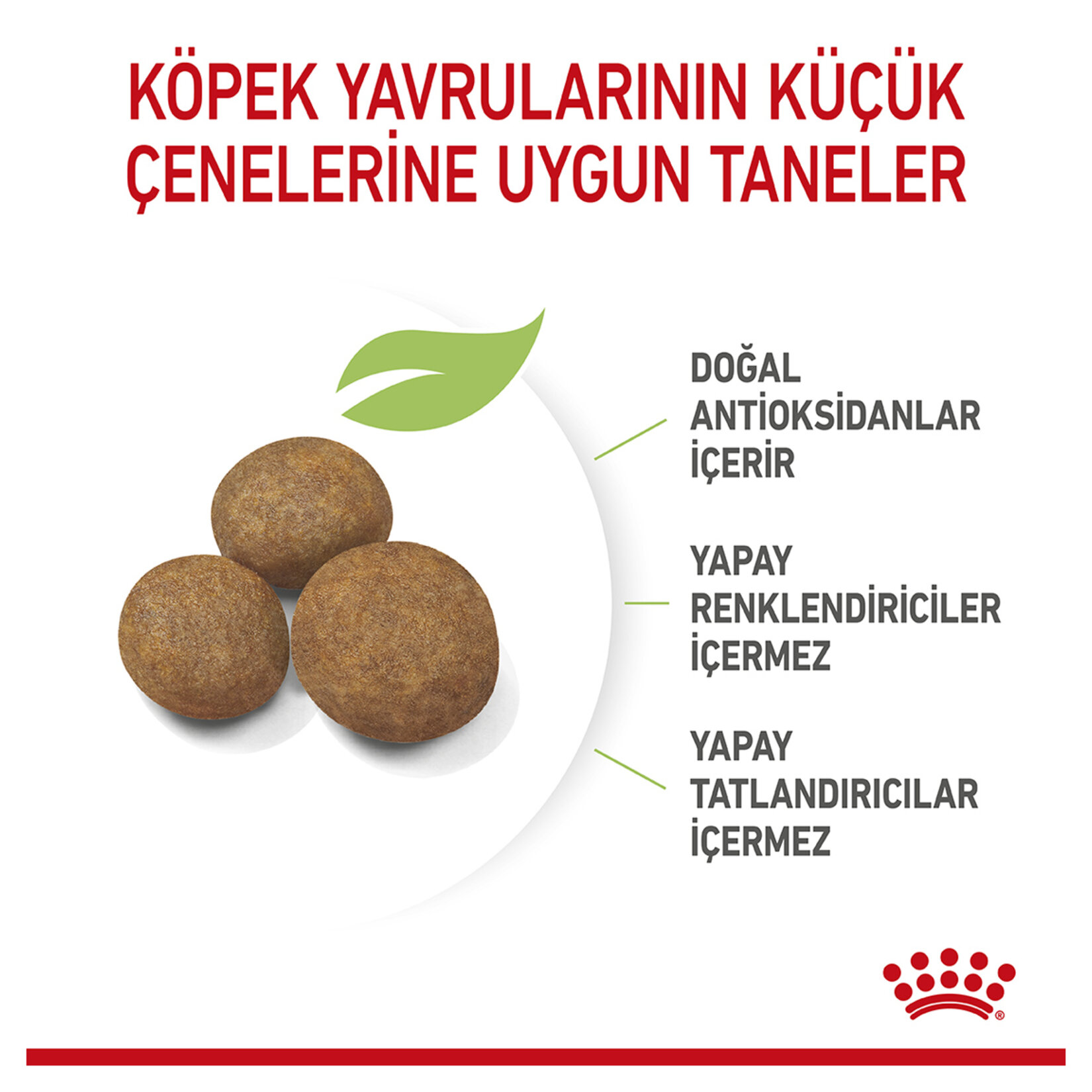 Royal Canin Büyük Irk İçin Yavru Köpek Maması 15 Kg - Görsel 3