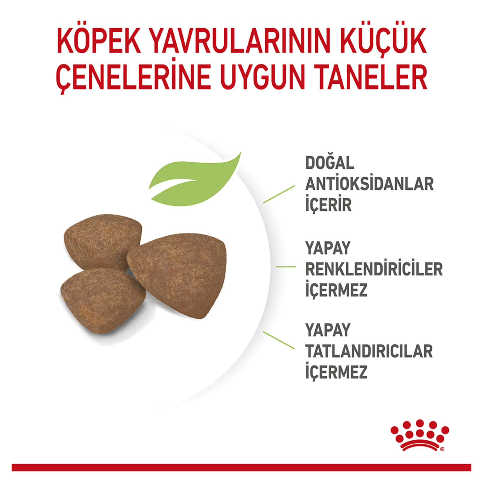 Royal Canin Küçük Irk Yavru Kuru Köpek Maması 4 Kg - Görsel 3