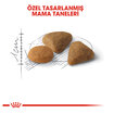 Royal Canin Seçici Kediler İçin Kuru Mama 4 Kg - Görsel 3