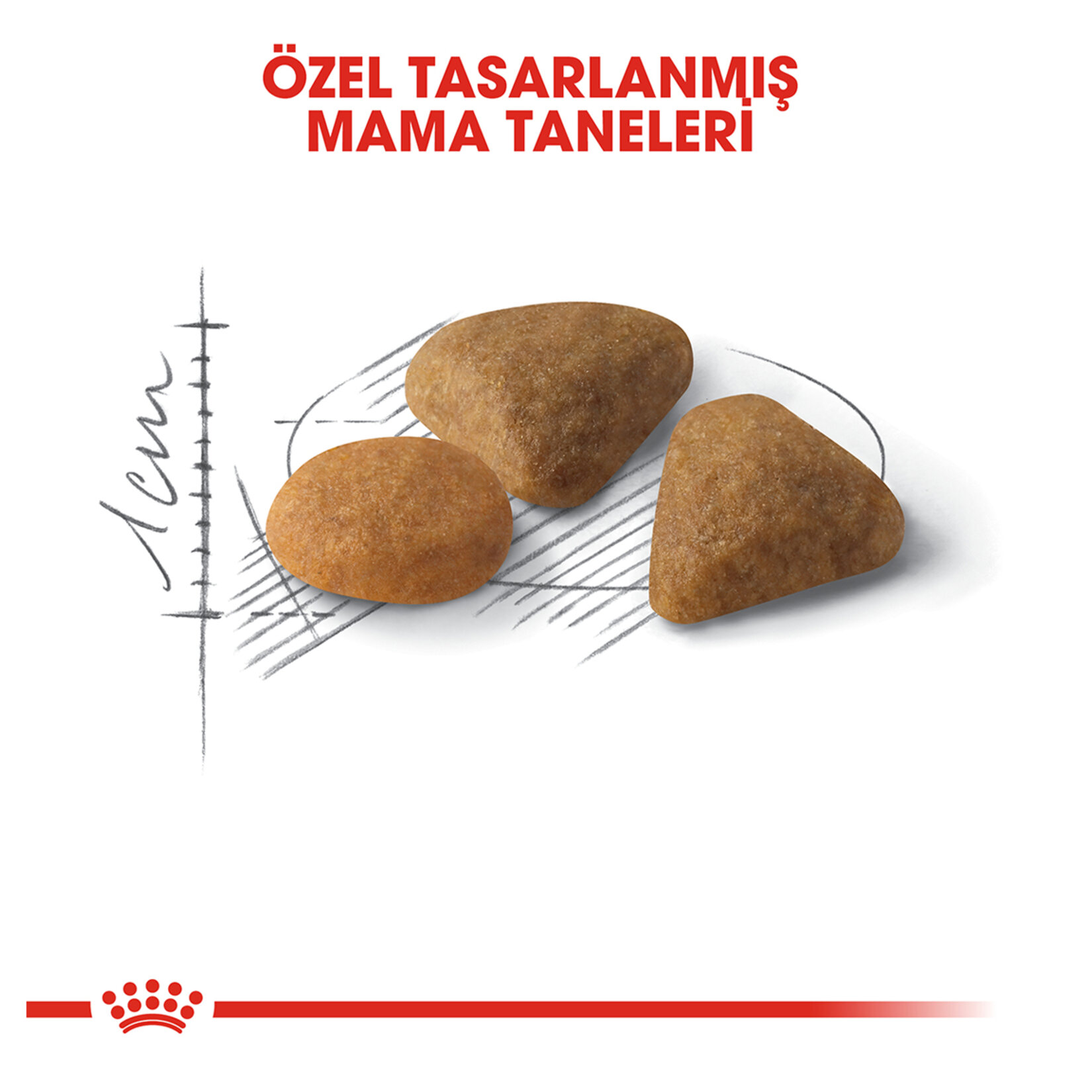 Royal Canin Seçici Kediler İçin Kuru Mama 4 Kg - Görsel 3