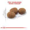 Royal Canin Kısırlaştırılmış Kedi Maması 15 Kg - Görsel 3