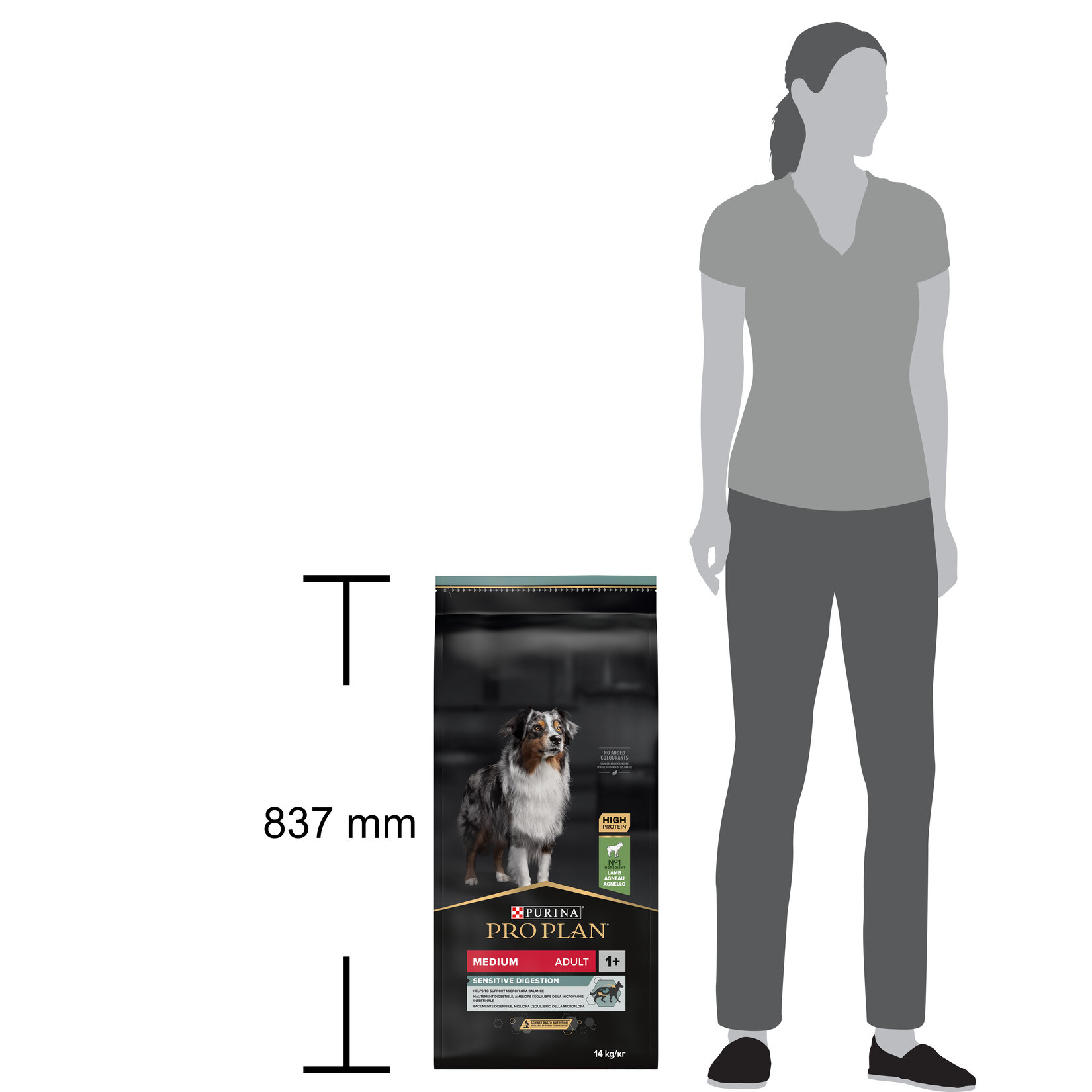 Pro Plan Orta Irk Yetişkin Köpek Kuzulu Mama 14 Kg - Görsel 4