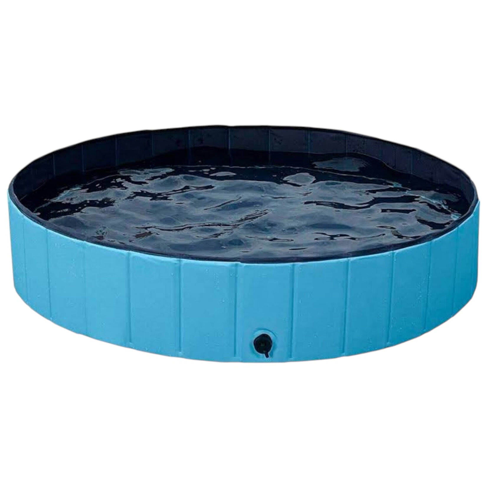 Pawise Köpek Havuzu