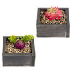 Touchme Ahşap Saksılı Yapay Çiçek 9Cm (N18-yqr4308) - Görsel 1
