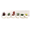 Touch Me Yapay Çiçek Skulent(590158) - Görsel 1