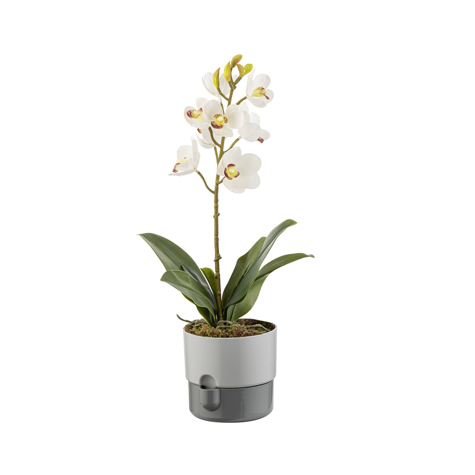 Farist Garden Dora 1 L Saksı Stone - Görsel 2