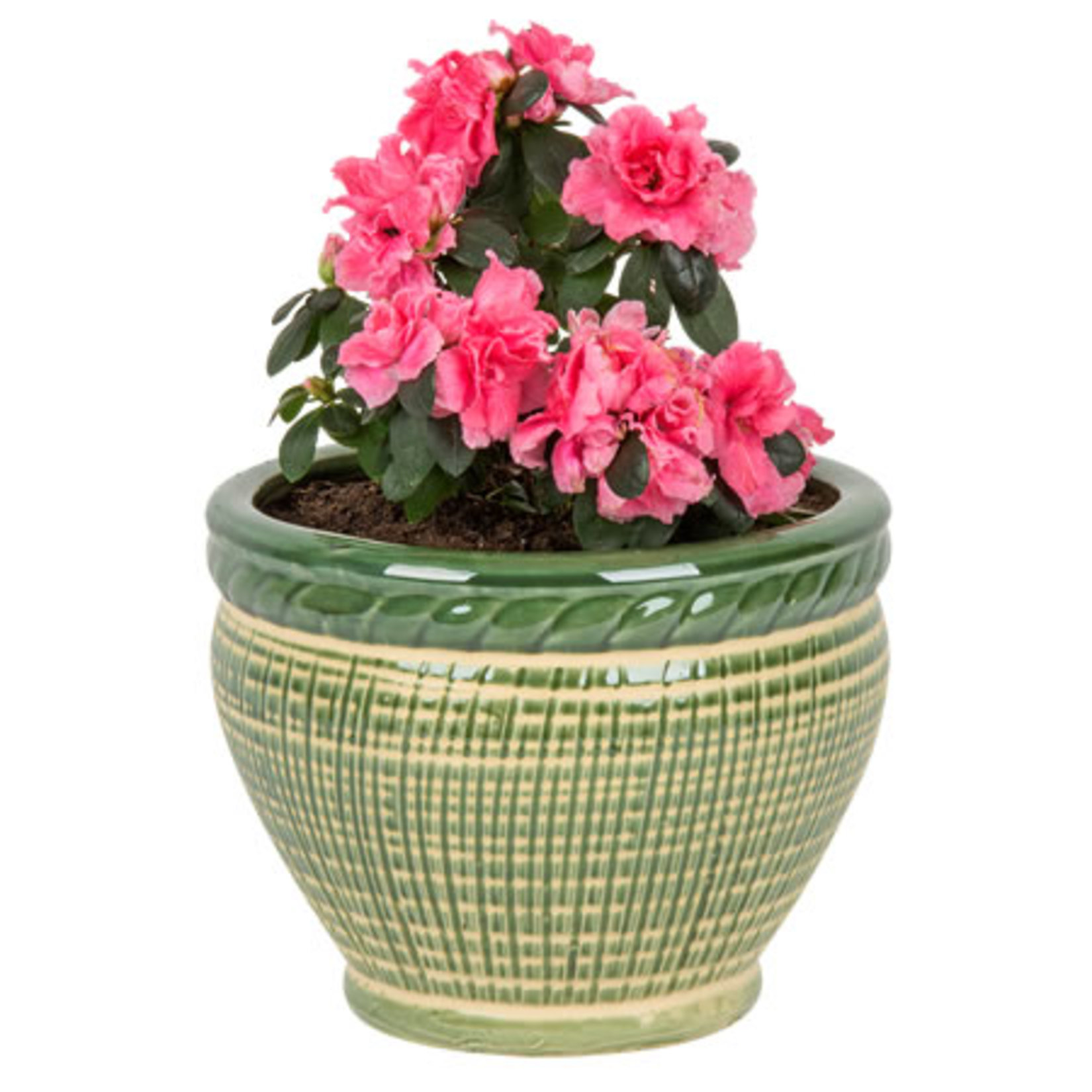 Gardenzone Seramik Saksı Orta (11-04C)