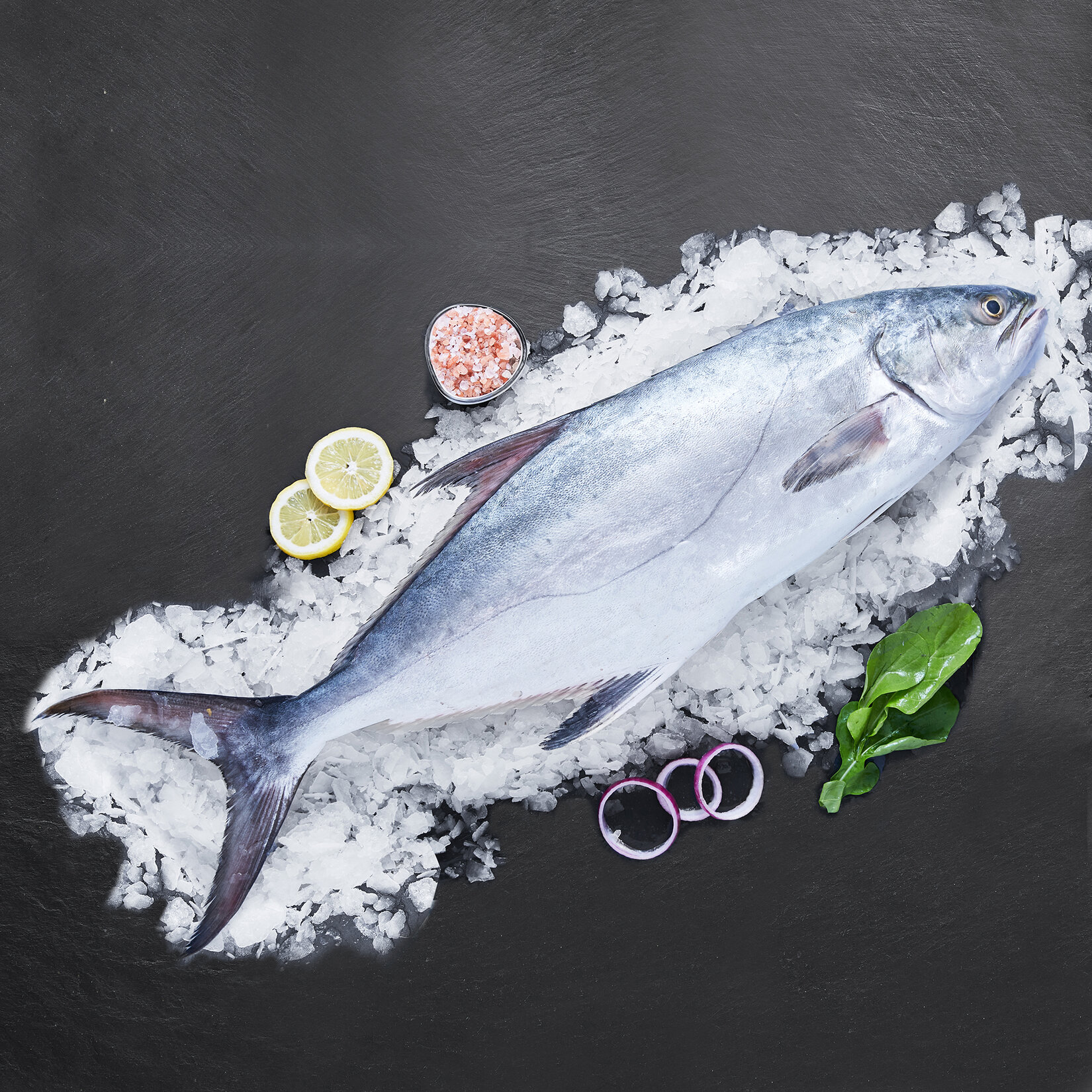 Çıplak Balığı İri Kg