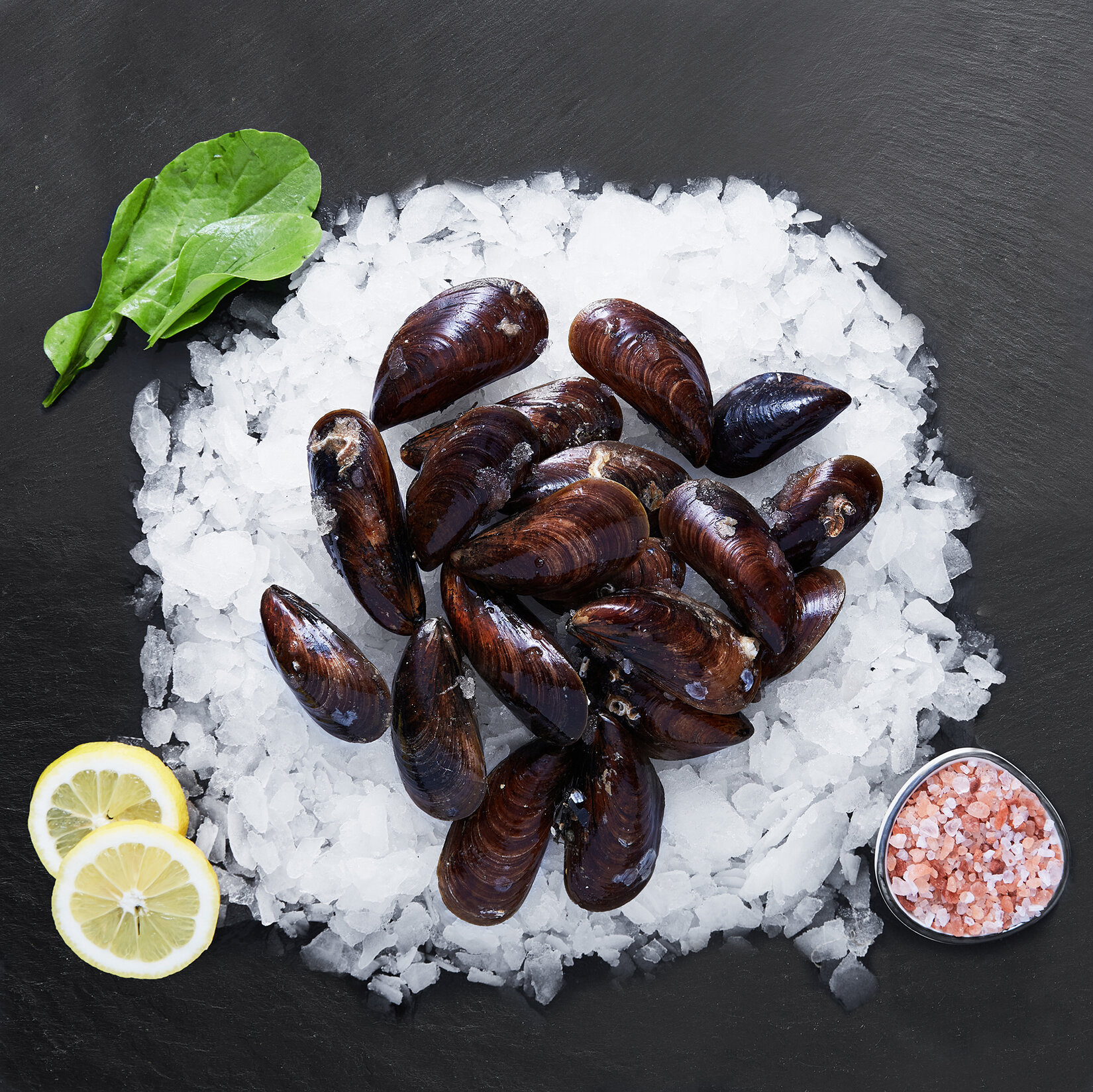 Kara Midye25'li Adet