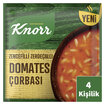 Knorr Zencefilli Zerdeçallı Domates Çorbası 98 G - Görsel 2