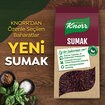 Knorr Baharat Serisi Sumak 70 G - Görsel 5