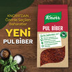 Knorr Baharat Serisi Pul Biber 65 G - Görsel 5