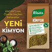 Knorr Baharat Serisi Kimyon 65 G - Görsel 5