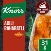 Knorr Fırında Tavuk Çeşnisi Acılı Baharatlı 31 G - Görsel 2