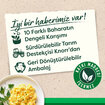 Knorr Arda Türkmen Serisi - Kahvaltı İçin Baharatlı Çeşni 75 G - Görsel 5