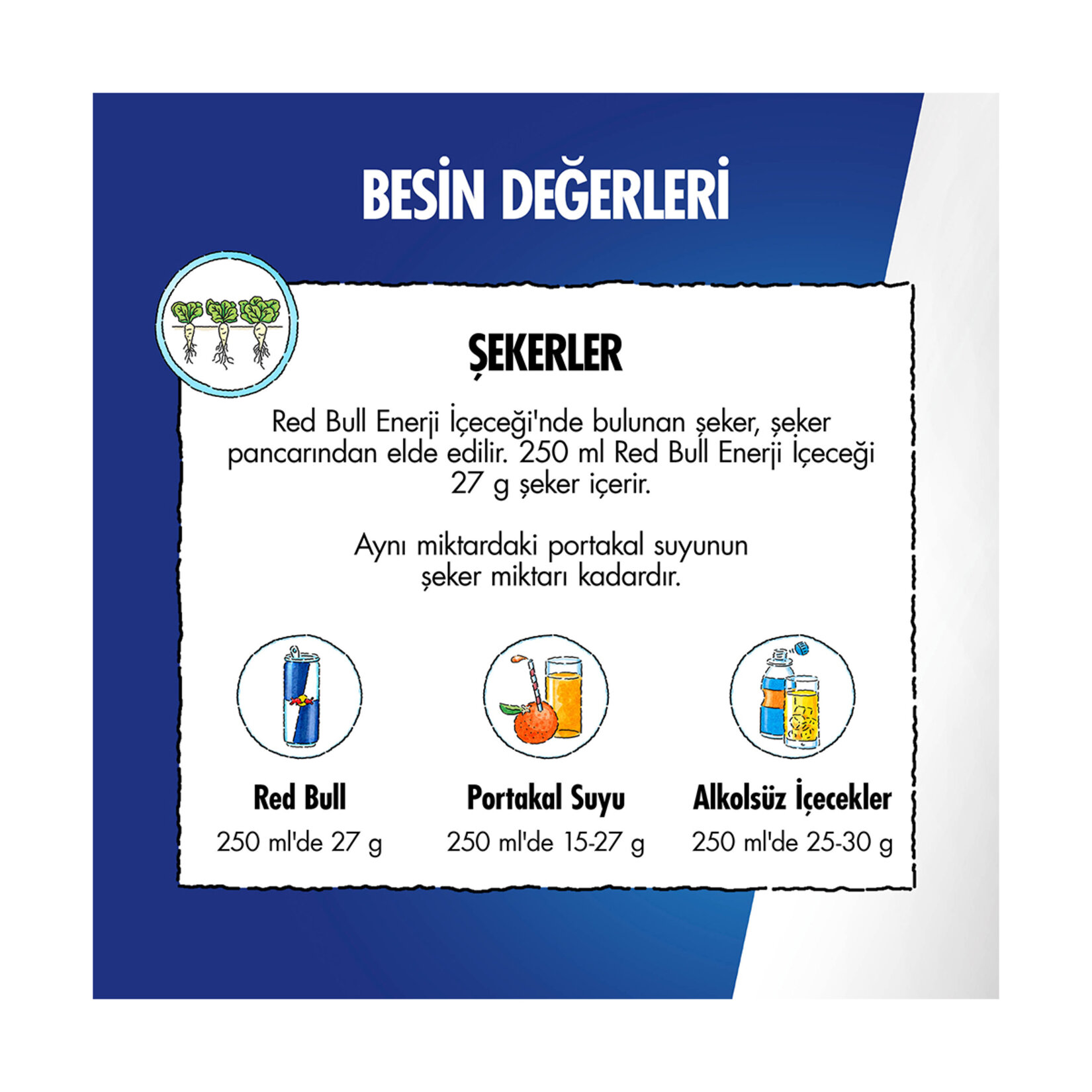 Red Bull Winter Ediition İncir-Elma Enerji İçeceği 250ml - Görsel 4