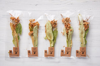 Kare Ihlamur Çayı 10 G