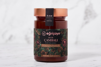 Ham Çam Balı 450 g