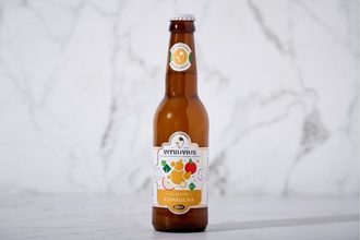 Zencefilli Kombucha (Fermente Çay) 330 ml