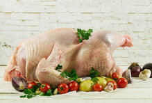 Bütün Hindi 6,600 kg