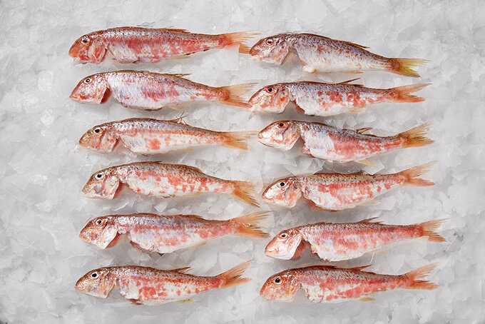 Tekir (Temizlenmiş) 700 g