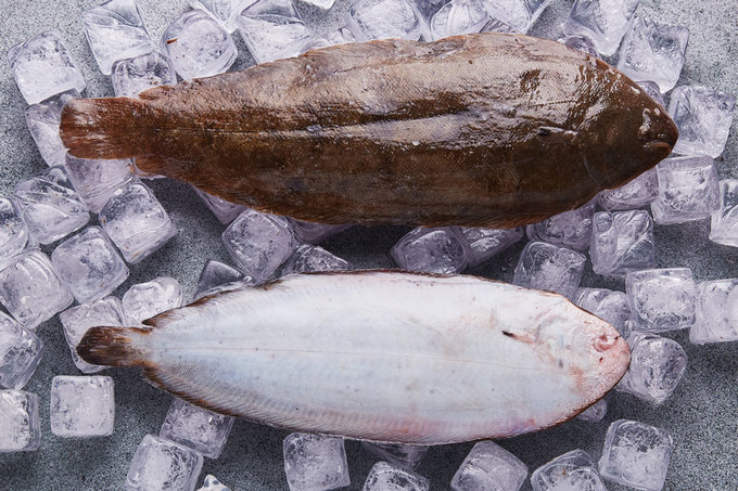 Dil Balığı 200 / 300 g