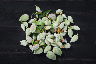 Organik Çağla Badem 250g