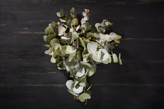 Organik Okaliptus Adet