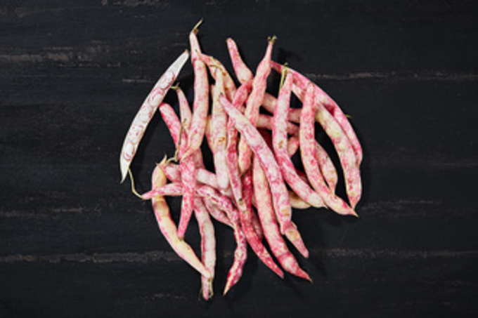 Organik Barbunya Fasulye 500 g